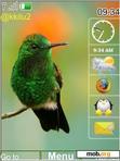 Download mobile theme Humming Bird