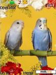 Download mobile theme Sweet Birds