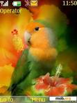 Download mobile theme Love Bird_Ab