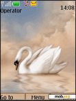 Download mobile theme Swans