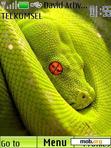 Download mobile theme Green Snake 2