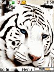 Download mobile theme White Tiger