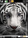 Download mobile theme White Tiger Blue Eyes