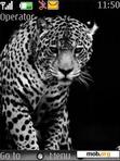 Download mobile theme Leopard Beautiful