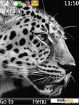 Download mobile theme Leopard White