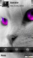 Скачать тему Purple Eye Cat