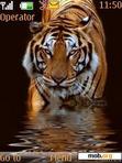 Download mobile theme Tiger In Water