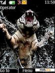 Download mobile theme Tiger Jump