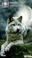 Download mobile theme beautiful wolf