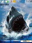 Download mobile theme Shark Jaws