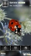 Download mobile theme ladybug