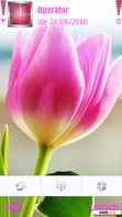 Download mobile theme Tulips