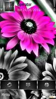 Download mobile theme Pink Flower