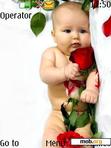 Download mobile theme rose baby