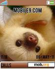 Download mobile theme Baby Sloth 3