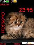 Download mobile theme cute kitten