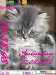 Download mobile theme cute kitten