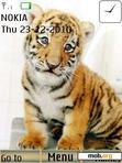 Download mobile theme Cute Tiger