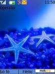 Download mobile theme Starfish