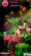 Скачать тему Flowers And Bird