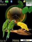 Download mobile theme Parrots Clock