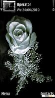 Download mobile theme Silver Rose