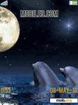 Download mobile theme Dolphis