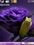 Download mobile theme purple flower