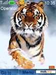 Download mobile theme tiger