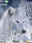 Download mobile theme Snowy Wolf