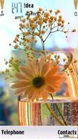 Download mobile theme Beautiful flower