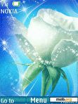 Download mobile theme white rose