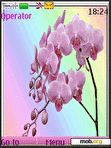 Download mobile theme Flower