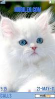 Download mobile theme Persian cat