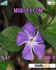 Download mobile theme flower