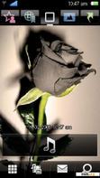 Download mobile theme BLACK ROSE