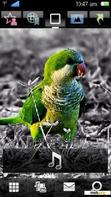 Download mobile theme GREEN BIRD