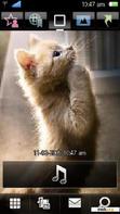 Download mobile theme CUTE KITTY