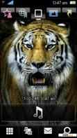 Download mobile theme TIGER THEME