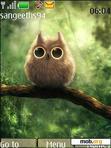 Скачать тему cute owl