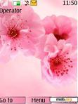 Download mobile theme pink flowers