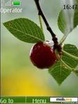 Download mobile theme Raindrops on the cherry(swf 2.0)