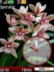 Download mobile theme Orchid