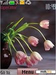 Download mobile theme tulip-flower.beauti