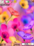 Download mobile theme Colour Flowers