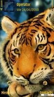 Download mobile theme Royal bengal