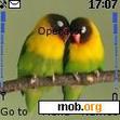 Download mobile theme Love Birds_ by edwin