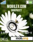 Download mobile theme Flower_Bass