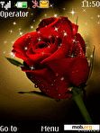 Download mobile theme RED ROSE