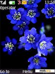 Download mobile theme Blue Flowers